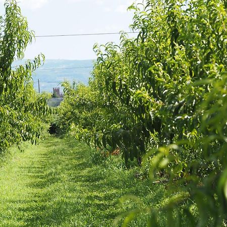 Agriturismo Fior Di Maggio Pescantina Zewnętrze zdjęcie
