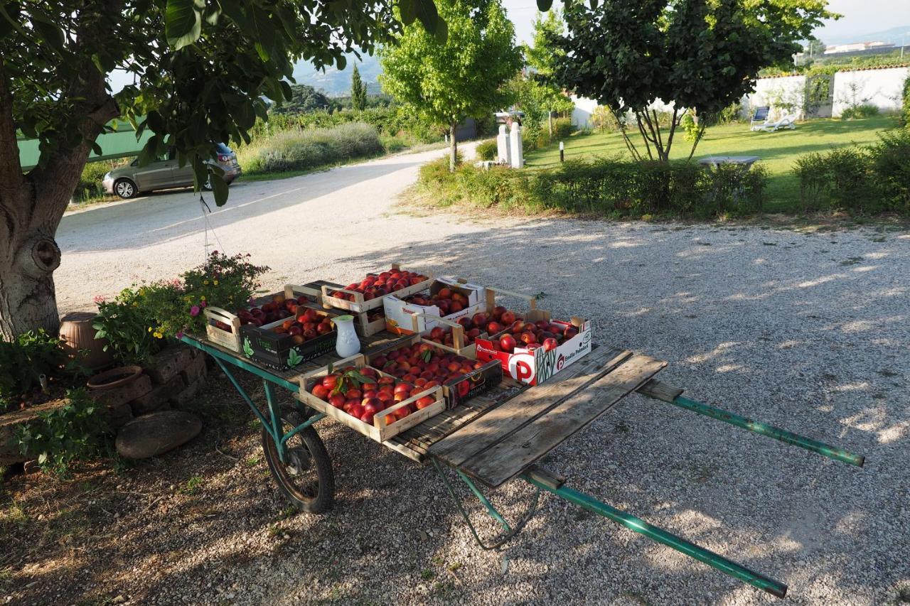 Agriturismo Fior Di Maggio Pescantina Zewnętrze zdjęcie