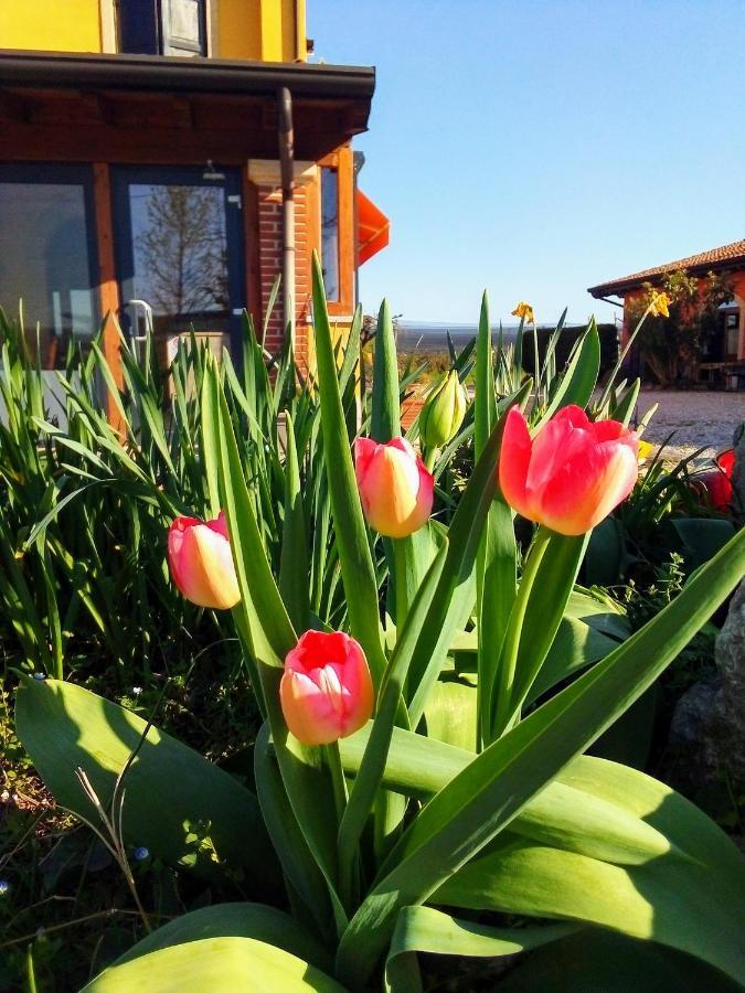Agriturismo Fior Di Maggio Pescantina Zewnętrze zdjęcie