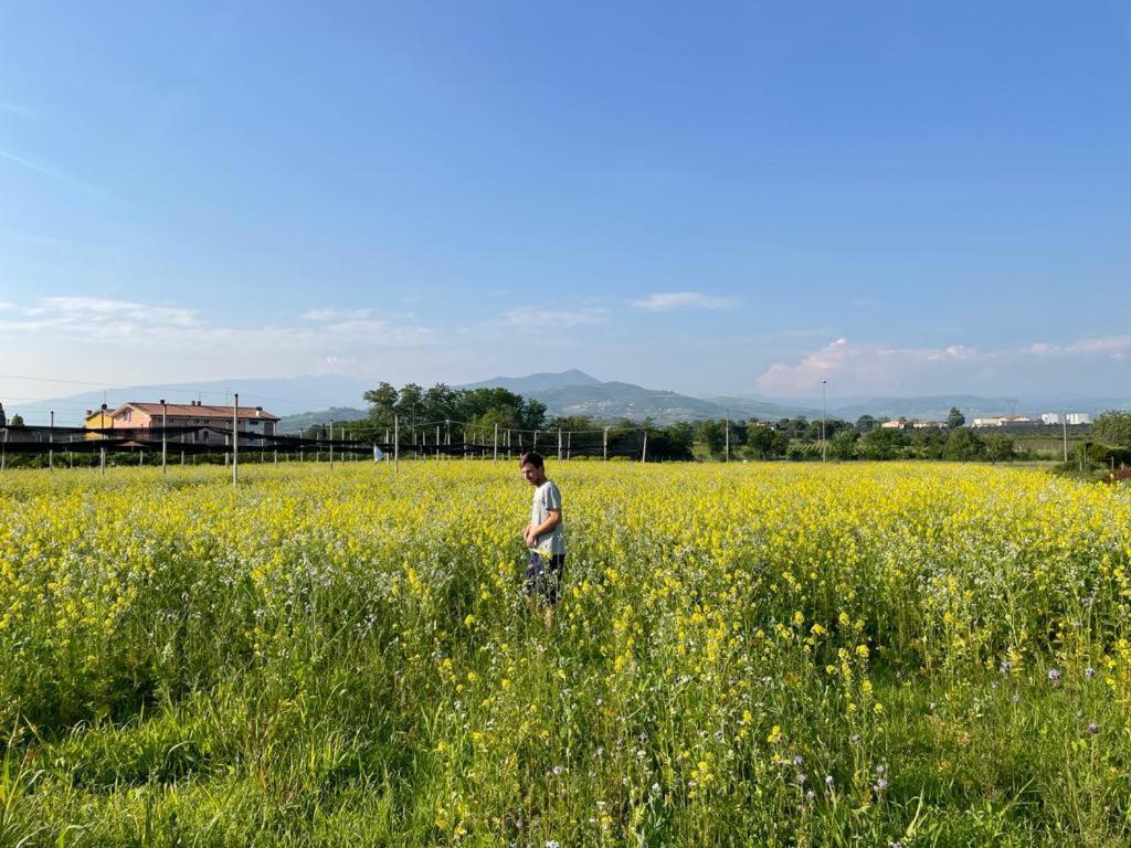 Agriturismo Fior Di Maggio Pescantina Zewnętrze zdjęcie