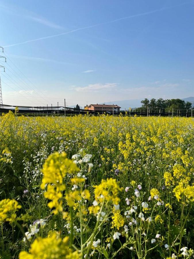 Agriturismo Fior Di Maggio Pescantina Zewnętrze zdjęcie