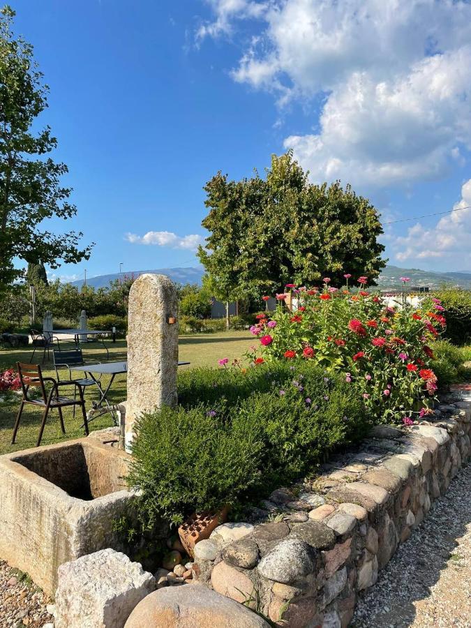 Agriturismo Fior Di Maggio Pescantina Zewnętrze zdjęcie