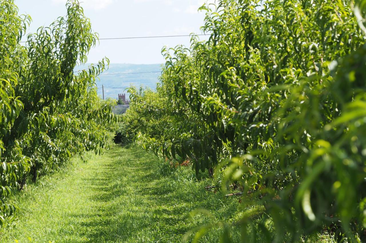 Agriturismo Fior Di Maggio Pescantina Zewnętrze zdjęcie