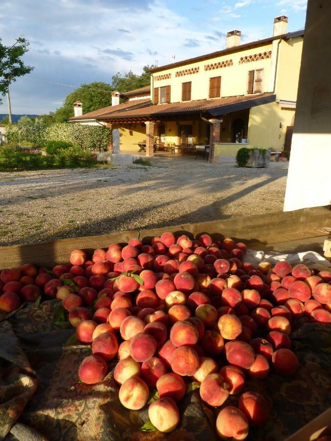 Agriturismo Fior Di Maggio Pescantina Zewnętrze zdjęcie